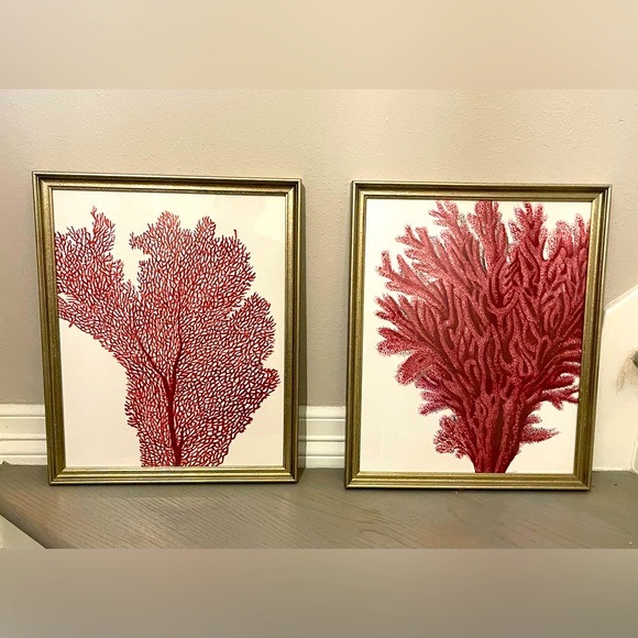 Red Coral Prints from Ballard Designs - Picture 1 of 3